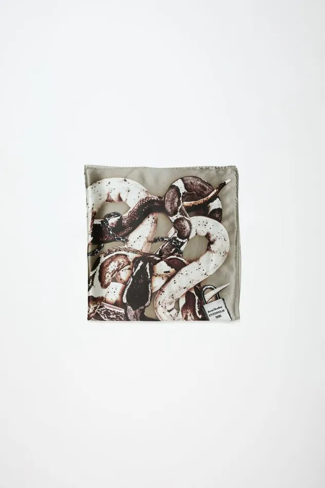 Acne Studios Printed Silk Scarf Beige Woman Scarves