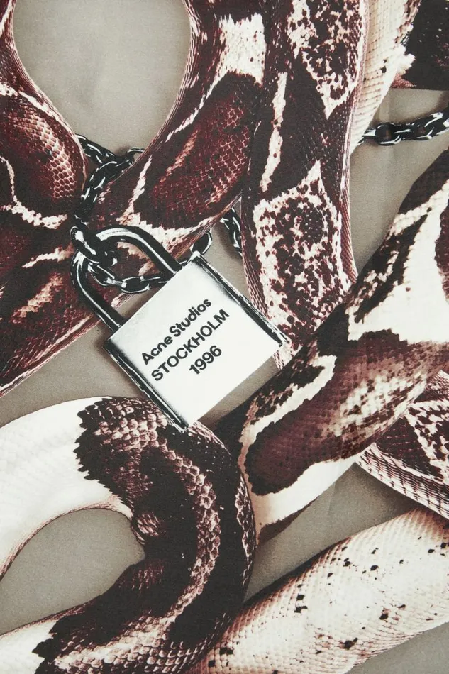 Acne Studios Printed Silk Scarf Beige Woman Scarves
