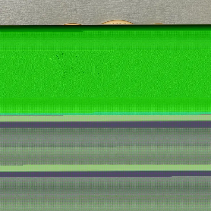 Classique Triomphe Bag In Shiny Calfskin Green Clay Women CELINE TRIOMPHE Classique Triomphe Bag In Shiny Calfskin Green Clay Women CELINE TRIOMPHE