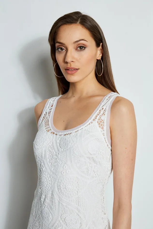 Elie Tahari Dresses and Jumpsuits Lace Maxi Dress Pearl 8211 Women