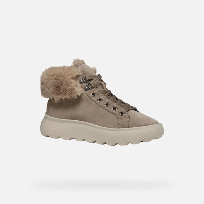 Geox Sneakers SPHERICA EC41 WOMAN Taupe High Top Sneakers Taupe 8211 Woman