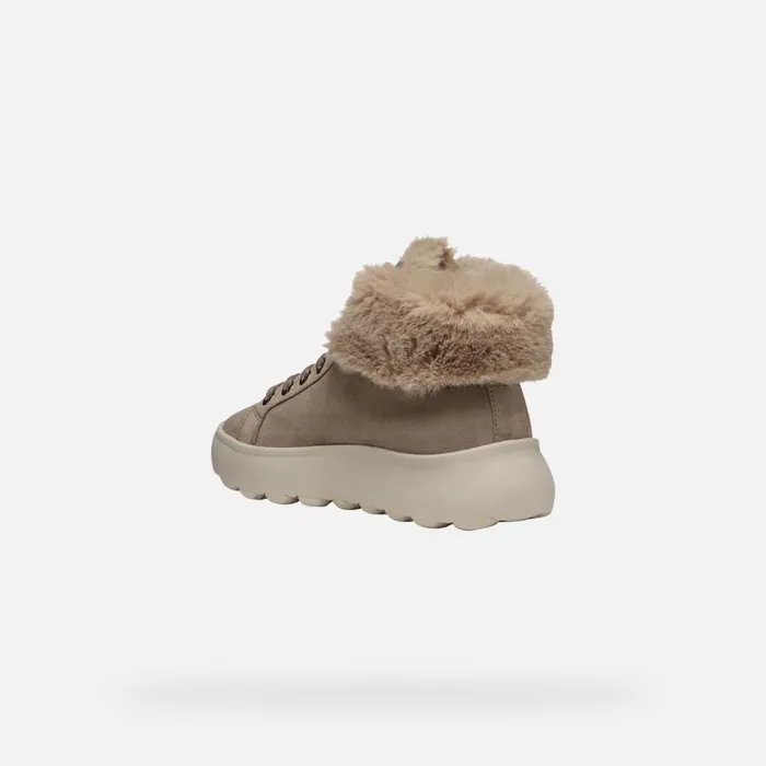 Geox Sneakers SPHERICA EC41 WOMAN Taupe High Top Sneakers Taupe 8211 Woman
