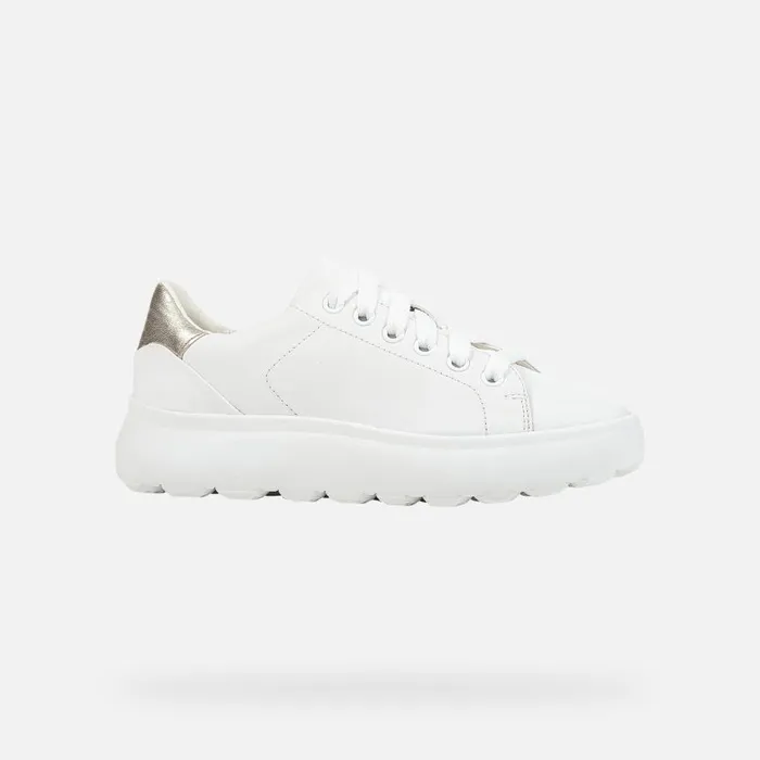 Geox Sneakers SPHERICA EC41 Women039s White Low Top Sneakers Geox Whitegold 8211 Woman
