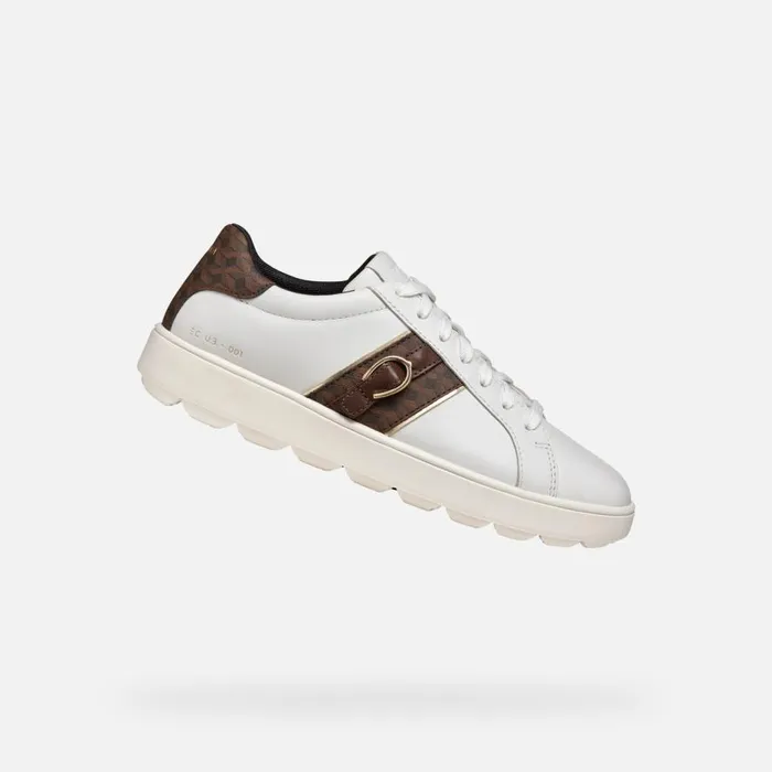 Geox Sneakers SPHERICA ECUB1 WOMAN WhiteDark Brown Low Top Sneakers Whitedark Brown 8211 Woman Geox Sneakers SPHERICA ECUB1 WOMAN WhiteDark Brown Low Top Sneakers Whitedark Brown 8211 Woman