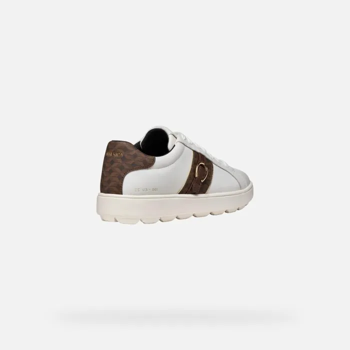 Geox Sneakers SPHERICA ECUB1 WOMAN WhiteDark Brown Low Top Sneakers Whitedark Brown 8211 Woman