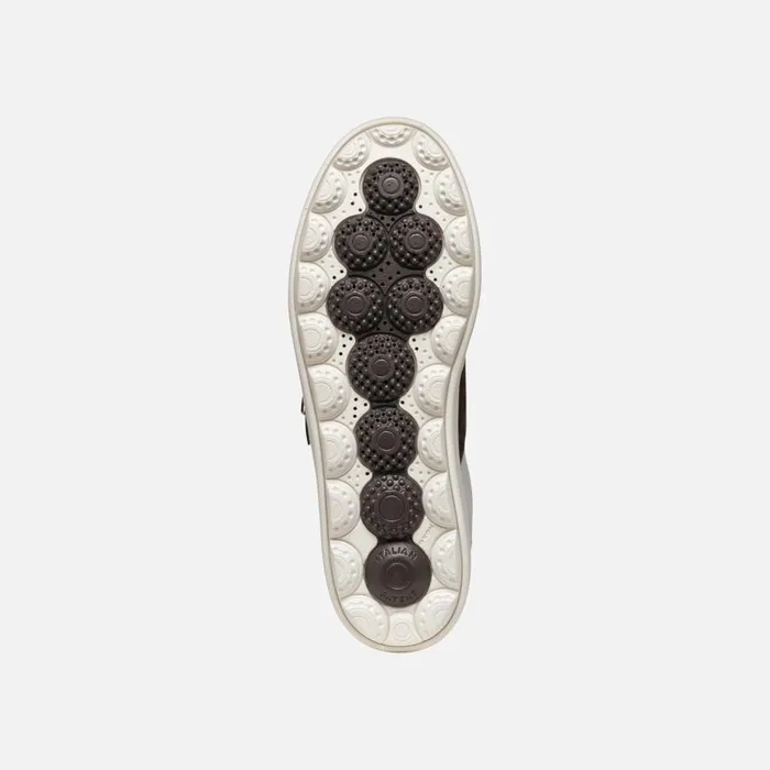 Geox Sneakers SPHERICA ECUB1 WOMAN WhiteDark Brown Low Top Sneakers Whitedark Brown 8211 Woman