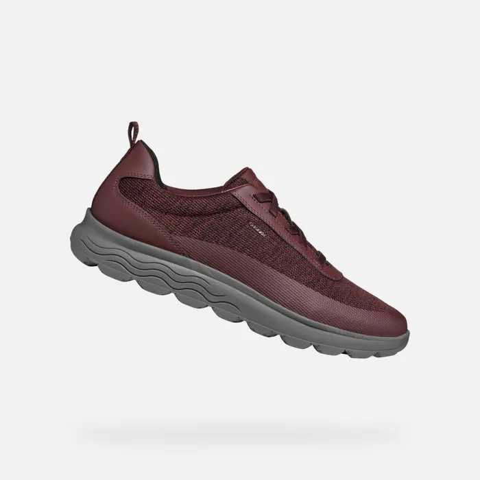 Geox Sneakers SPHERICA MAN Wine Low Top Sneakers Wine 8211 Man