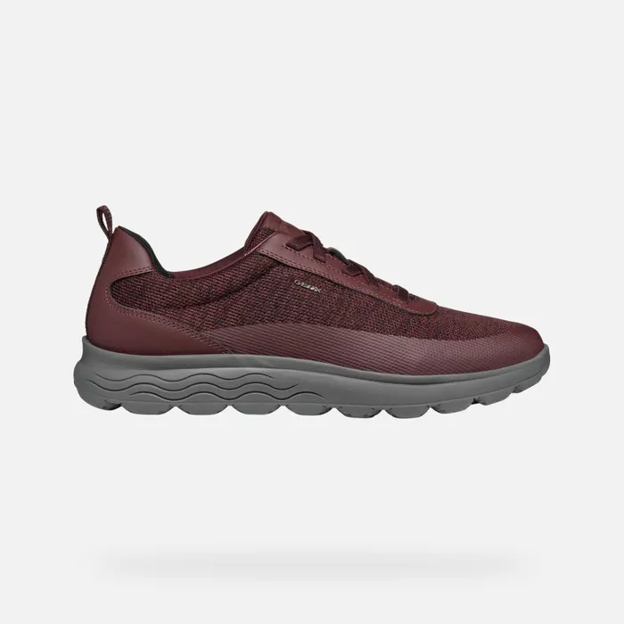 Geox Sneakers SPHERICA MAN Wine Low Top Sneakers Wine 8211 Man