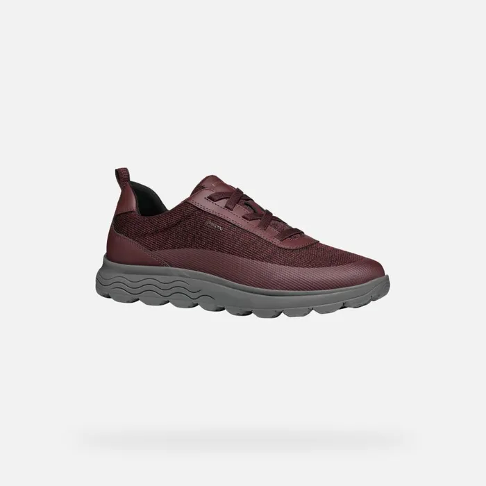 Geox Sneakers SPHERICA MAN Wine Low Top Sneakers Wine 8211 Man