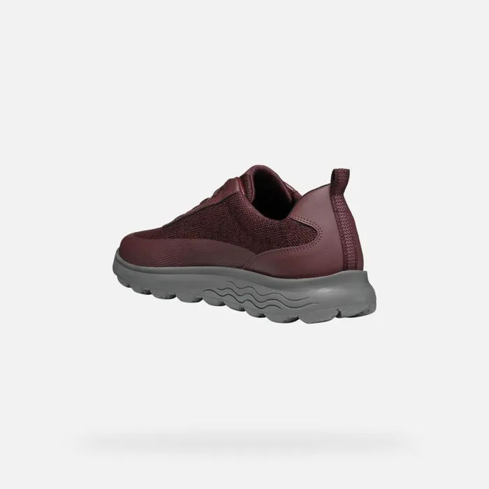 Geox Sneakers SPHERICA MAN Wine Low Top Sneakers Wine 8211 Man