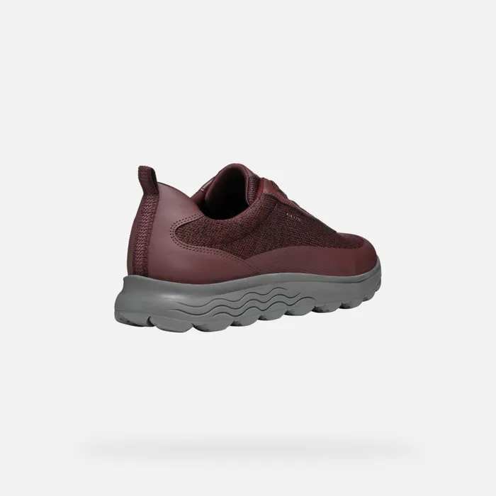 Geox Sneakers SPHERICA MAN Wine Low Top Sneakers Wine 8211 Man