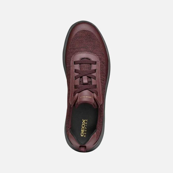 Geox Sneakers SPHERICA MAN Wine Low Top Sneakers Wine 8211 Man