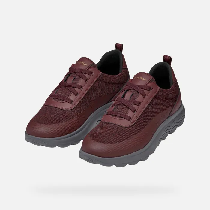 Geox Sneakers SPHERICA MAN Wine Low Top Sneakers Wine 8211 Man
