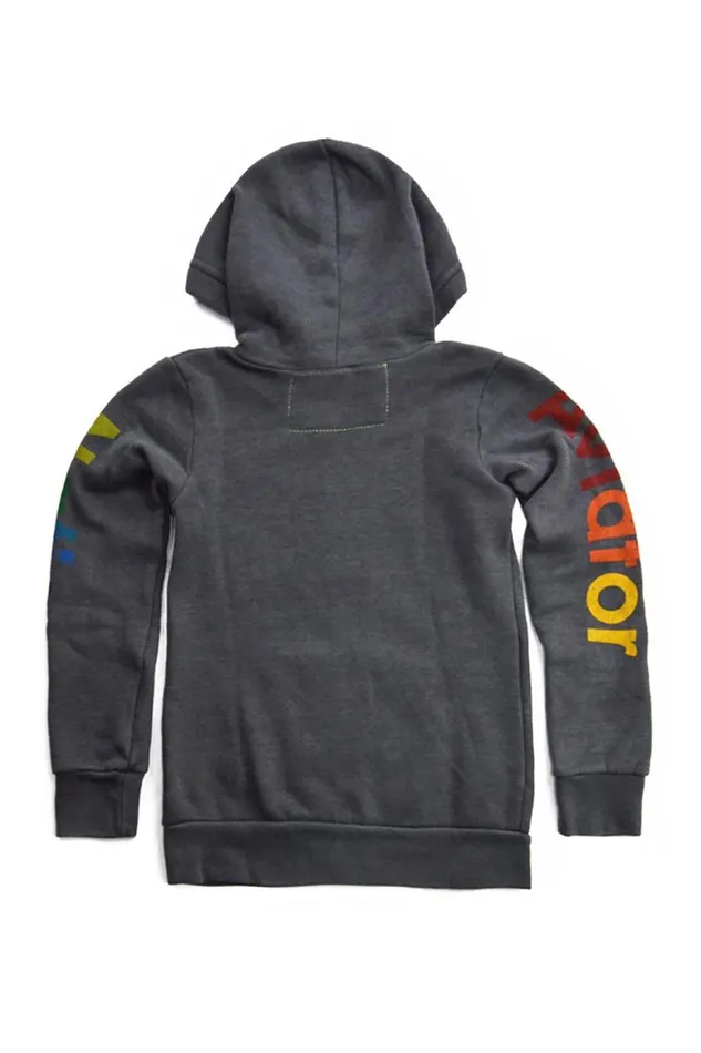 Kids Hoodies Aviator Nation Mill Valley Zip Hoodie 8211 Vintage Charcoal