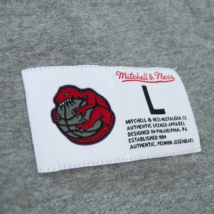 Men039s TShirts and Tops Mitchell and Ness City Collection SS Tee Toronto Raptors Men039s TShirts and Tops Mitchell and Ness City Collection SS Tee Toronto Raptors