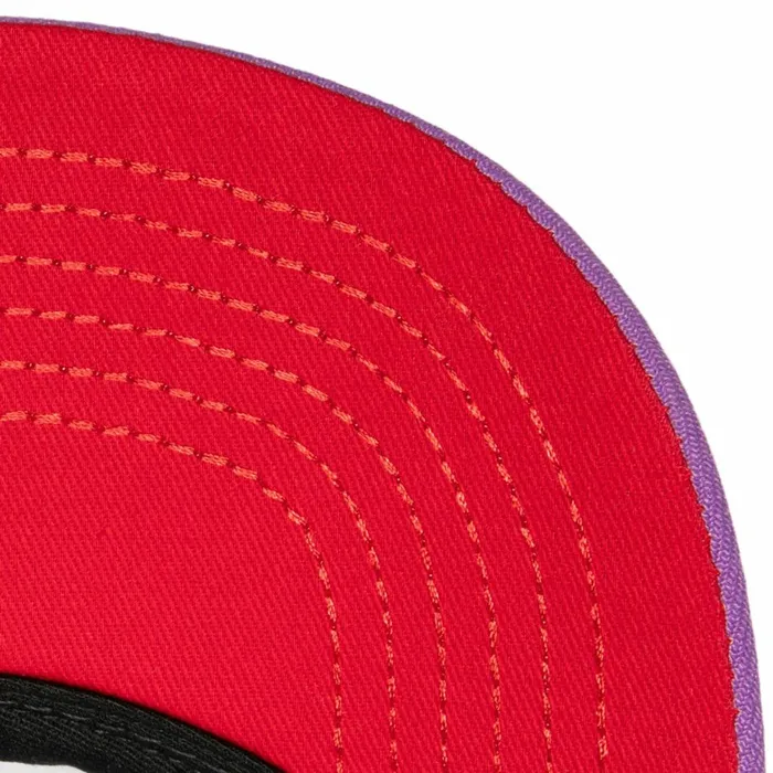 Men039sWomen039s Snapback 1921 Styles Mitchell and Ness Retrodome Pro Snapback HWC Toronto Raptors Men039sWomen039s Snapback 1921 Styles Mitchell and Ness Retrodome Pro Snapback HWC Toronto Raptors