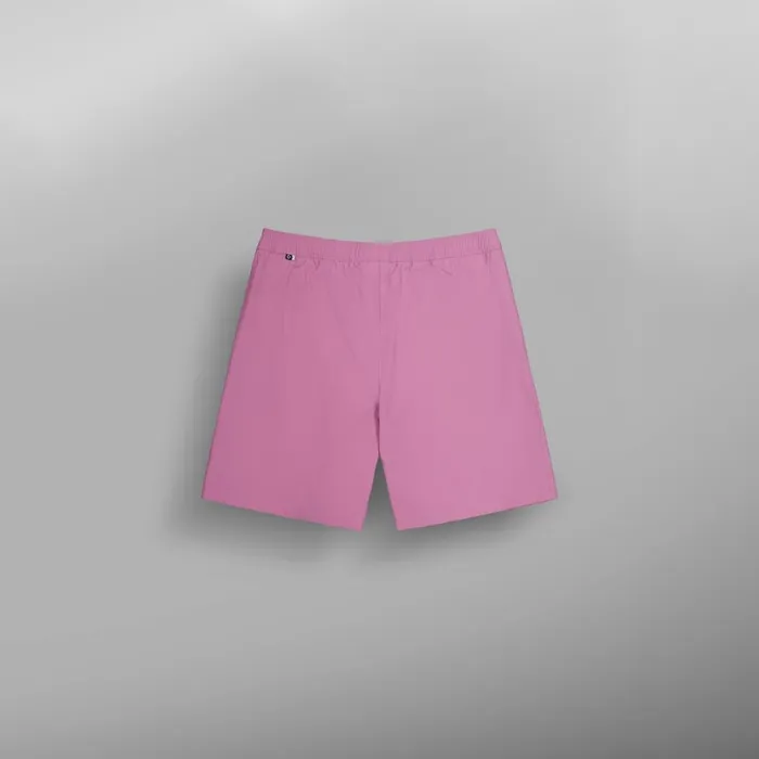 Men LENU STRETCH SHORTS Picture Organic Clothing Shorts