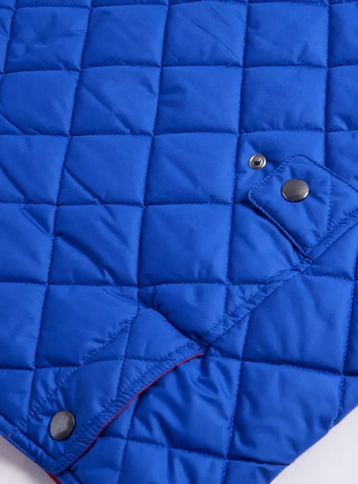 Men Paul Stuart Outerwear Diamond Quilted Vest Royal Blue