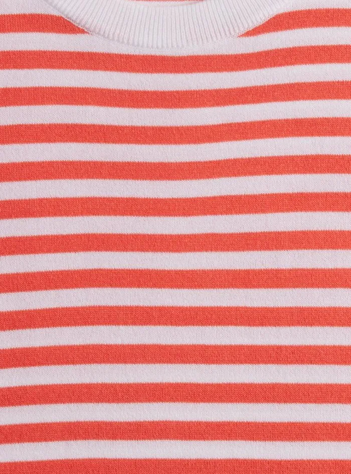 Men Paul Stuart Polos and TShirts Stripe Knit Short Sleeve Crewneck Redwhite