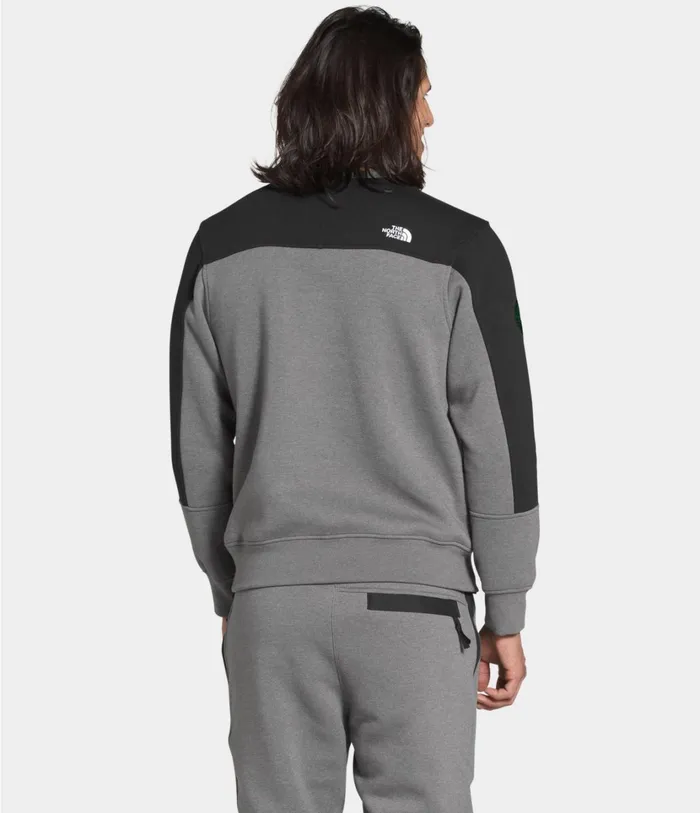 Mens Graphic Collection Pullover Tnf Medium Grey Heathertnf Black The North Face Hoodies and Sweatshirts