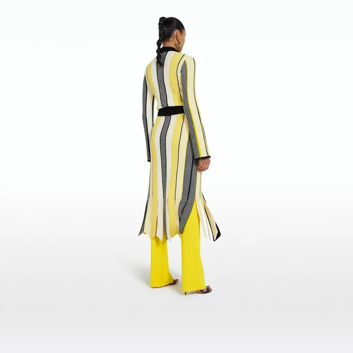 Safiyaa Aiko Multicolour Canary Knit Women Knitwear
