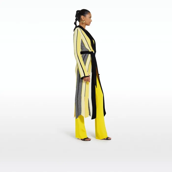 Safiyaa Aiko Multicolour Canary Knit Women Knitwear