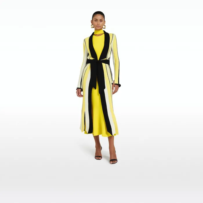 Safiyaa Aiko Multicolour Canary Knit Women Knitwear