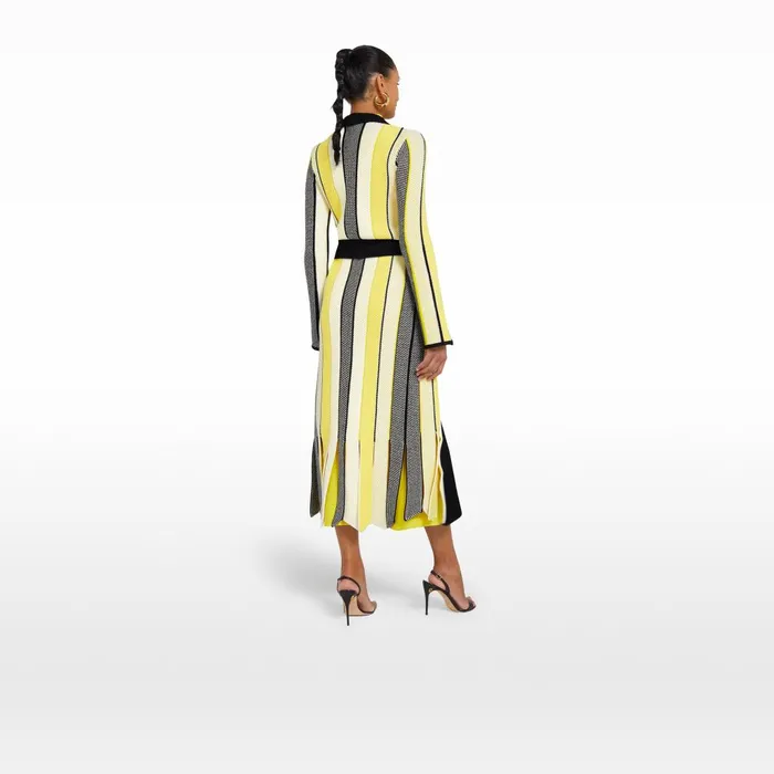 Safiyaa Aiko Multicolour Canary Knit Women Knitwear