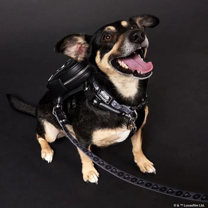 Star Wars Darth Vader Dog Collar Unisex Loungefly Pet Accessories Star Wars Darth Vader Dog Collar Unisex Loungefly Pet Accessories