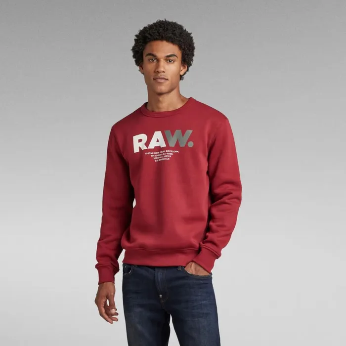 Sweatshirts and Hoodies Men GStar RAW Multi Colored RAW Sweater Chateaux Red