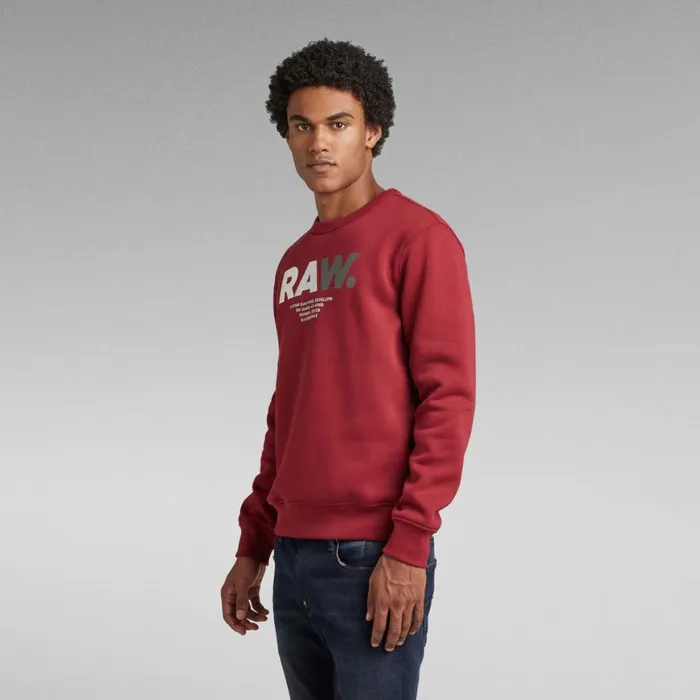 Sweatshirts and Hoodies Men GStar RAW Multi Colored RAW Sweater Chateaux Red