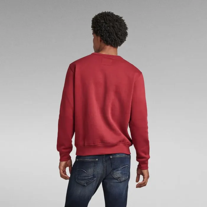 Sweatshirts and Hoodies Men GStar RAW Multi Colored RAW Sweater Chateaux Red