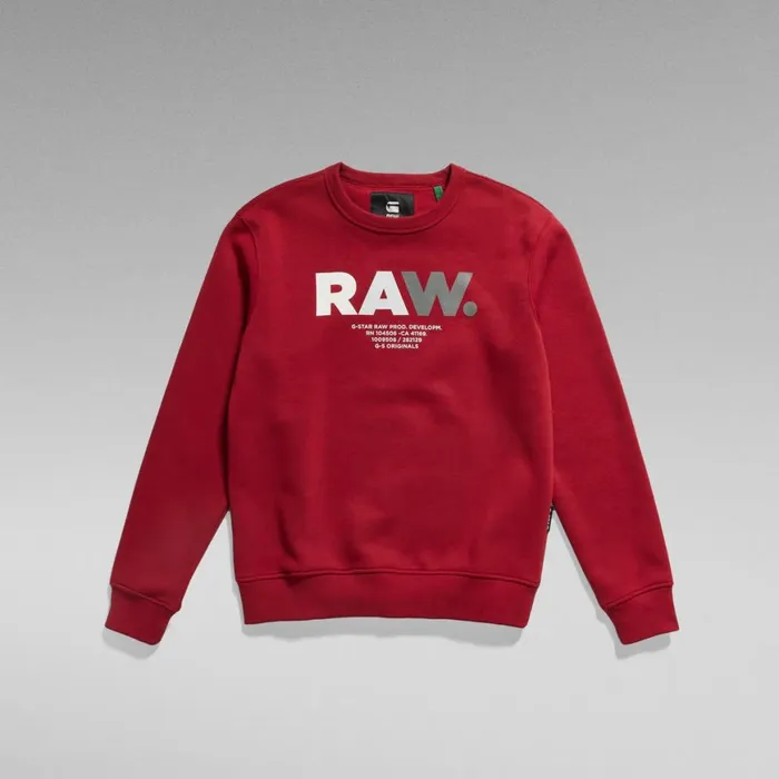 Sweatshirts and Hoodies Men GStar RAW Multi Colored RAW Sweater Chateaux Red