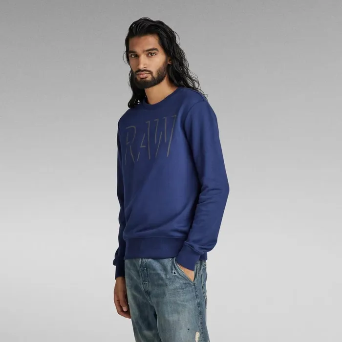 Sweatshirts and Hoodies Men GStar RAW RAW Graphic Sweater Imperial Blue