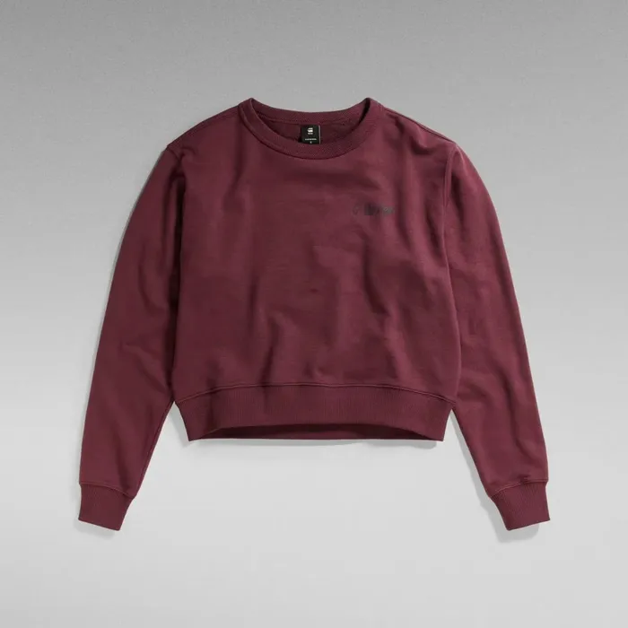 Sweatshirts and Hoodies Women GStar RAW Graphic Sweater Vineyard Wine