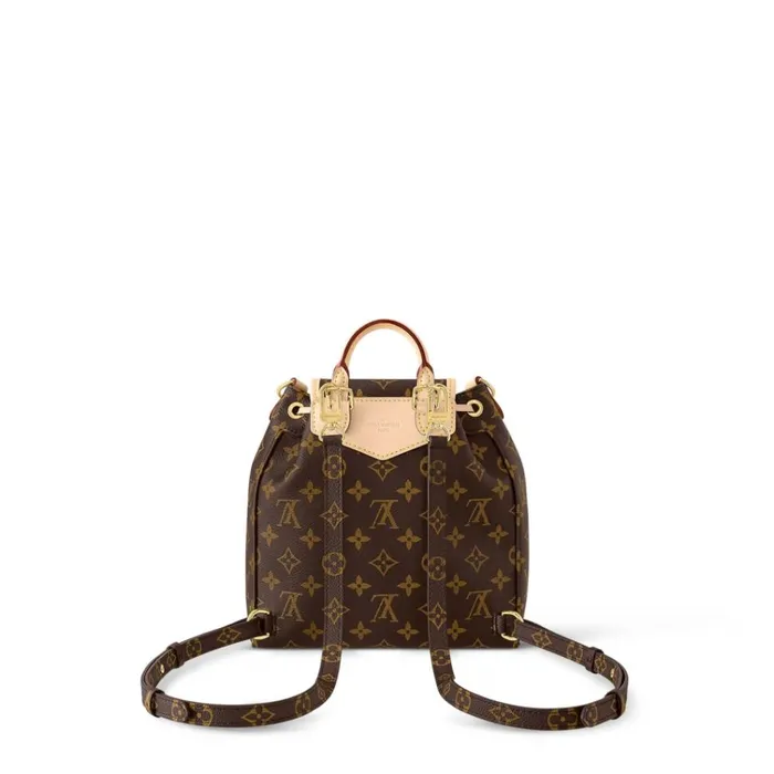 Women Backpacks Louis Vuitton Louis Vuitton Monogram M46932 Excursion PM 8211 Louis Vuitton Handbag Store