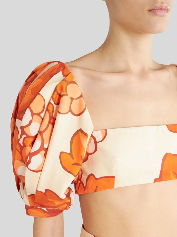 Women Bra Top Etro Tops