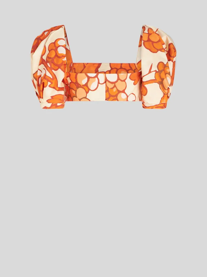 Women Bra Top Etro Tops