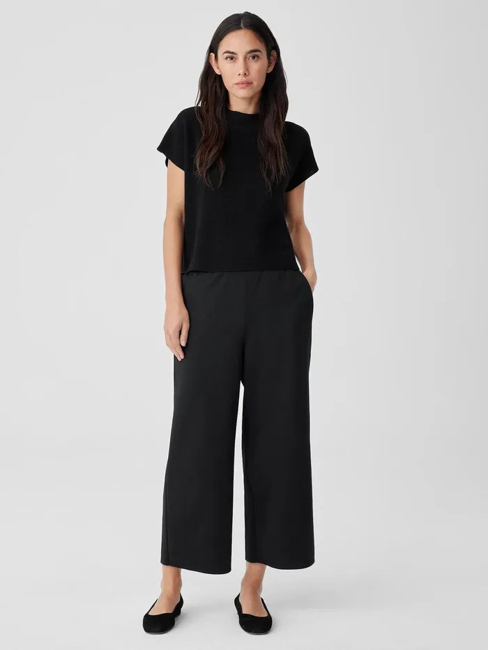 Women Eileen Fisher Pants Shorts and Jumpsuits Cotton Blend Ponte WideLeg Pant Black Women Eileen Fisher Pants Shorts and Jumpsuits Cotton Blend Ponte WideLeg Pant Black