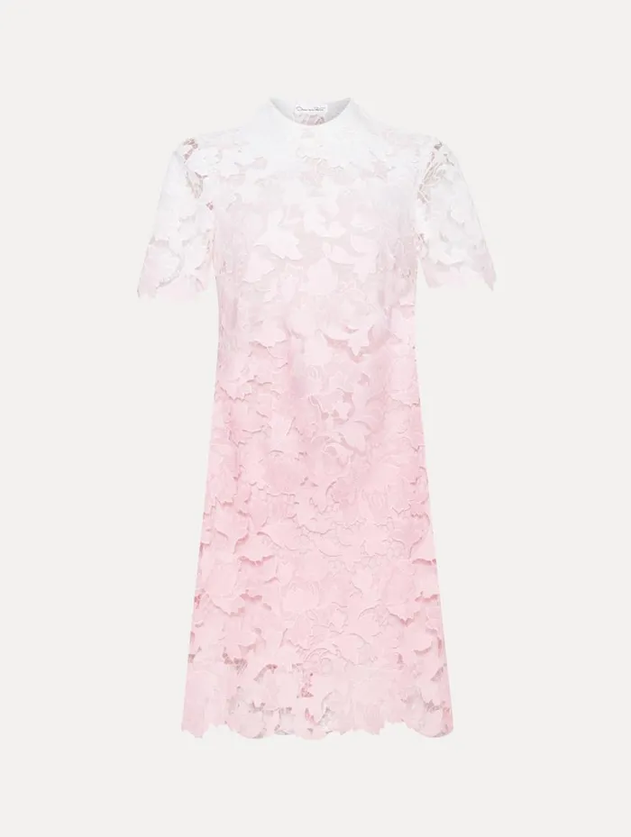 Women Ombr Peony Guipure Shift Dress Soft Pink Oscar De La Renta Dresses