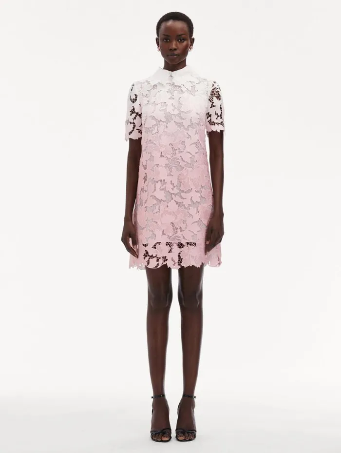 Women Ombr Peony Guipure Shift Dress Soft Pink Oscar De La Renta Dresses Women Ombr Peony Guipure Shift Dress Soft Pink Oscar De La Renta Dresses