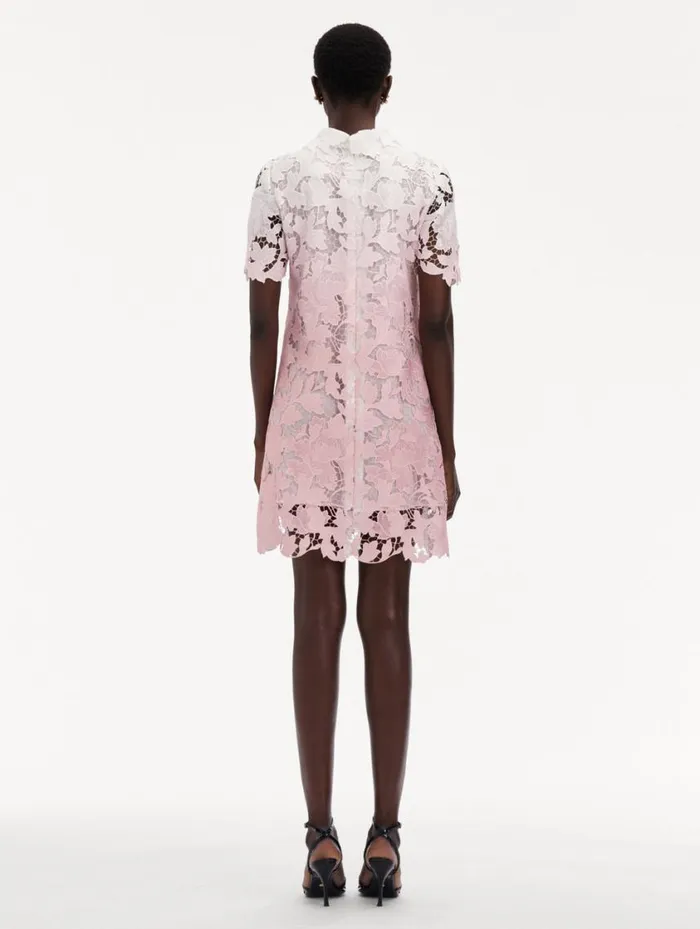 Women Ombr Peony Guipure Shift Dress Soft Pink Oscar De La Renta Dresses Women Ombr Peony Guipure Shift Dress Soft Pink Oscar De La Renta Dresses