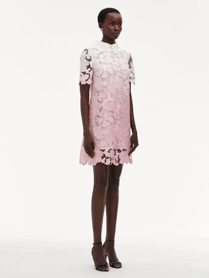 Women Ombr Peony Guipure Shift Dress Soft Pink Oscar De La Renta Dresses Women Ombr Peony Guipure Shift Dress Soft Pink Oscar De La Renta Dresses
