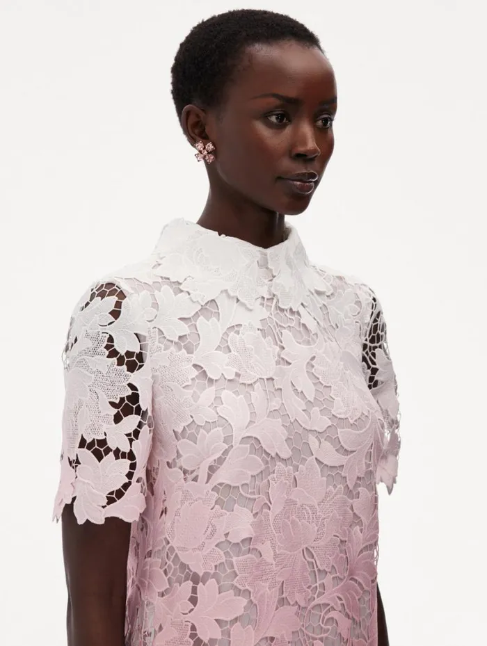 Women Ombr Peony Guipure Shift Dress Soft Pink Oscar De La Renta Dresses Women Ombr Peony Guipure Shift Dress Soft Pink Oscar De La Renta Dresses