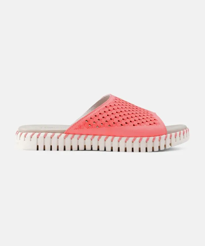 Women Sandals Ilse Jacobsen Sandals 8211 Raspberry Women Sandals Ilse Jacobsen Sandals 8211 Raspberry