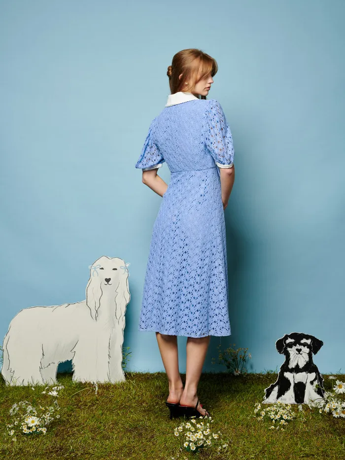 Women Sister Jane Dresses Bella Lace Midi Dress Cornflower Blue