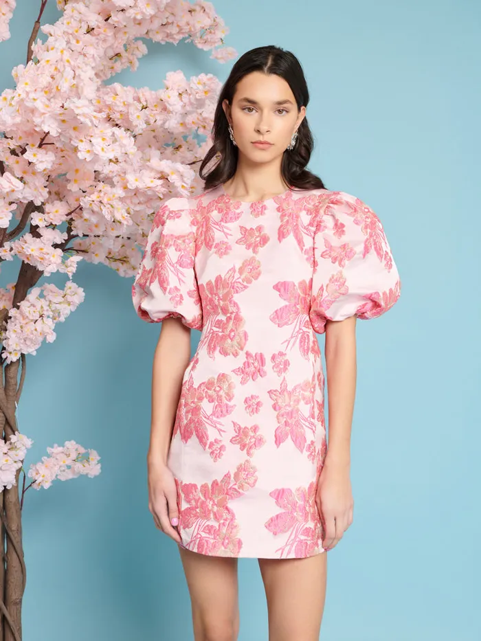 Women Sister Jane Dresses Floret Jacquard Mini Dress Blush Pink