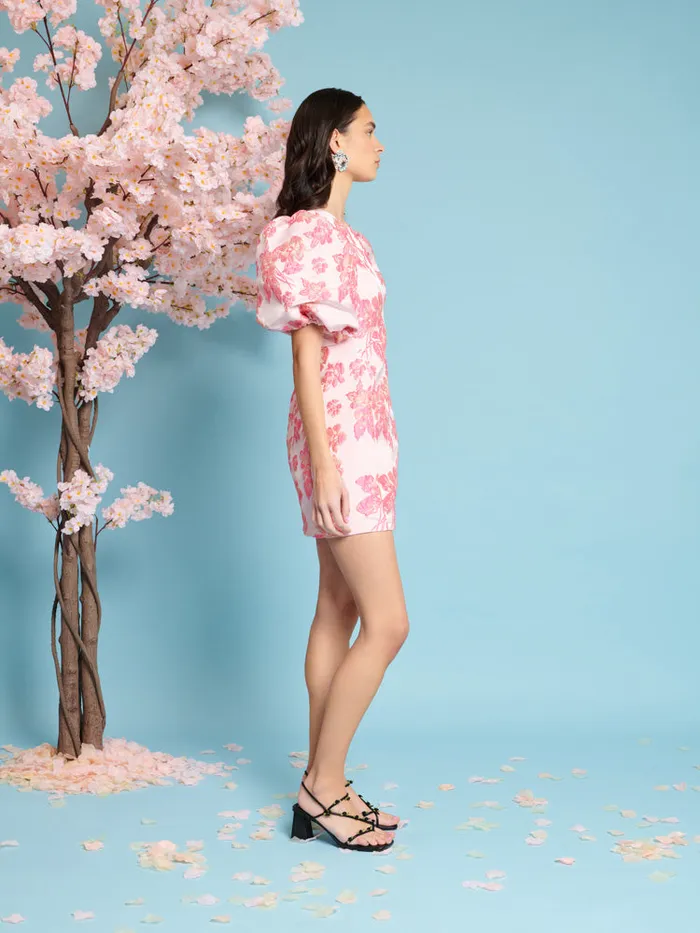 Women Sister Jane Dresses Floret Jacquard Mini Dress Blush Pink