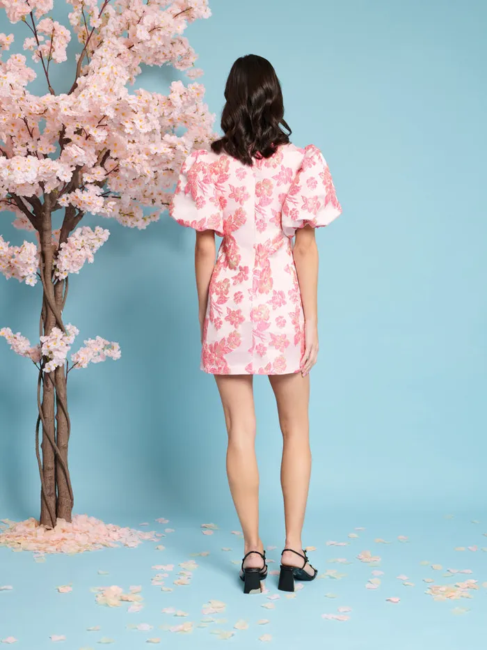 Women Sister Jane Dresses Floret Jacquard Mini Dress Blush Pink