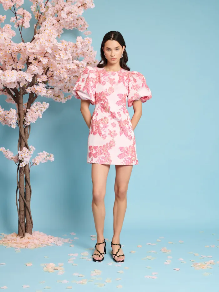 Women Sister Jane Dresses Floret Jacquard Mini Dress Blush Pink